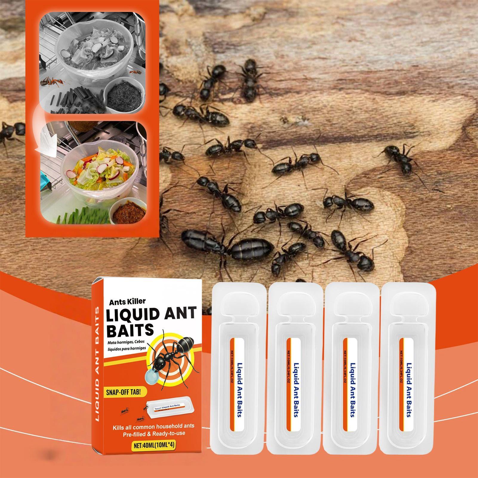 Perangkap Umpan Semut Baru unt - Home Security Outdoor ulasan dan harga